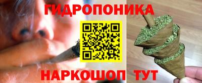 крисы Бузулук