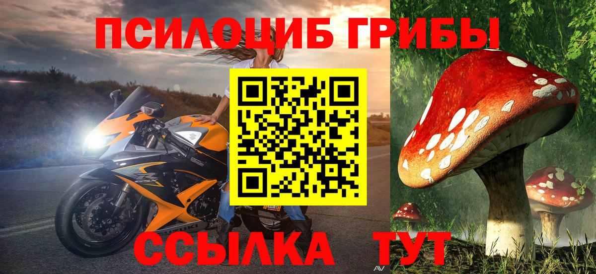Псилоцибиновые грибы GOLDEN TEACHER  Вход с VPN  Псилоцибиновые грибы ЛСД  Минусинск 